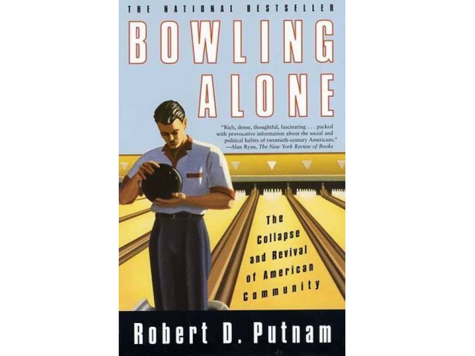 Image result for bowling alone book